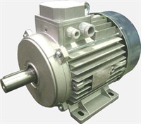 TE 3-01022 Drivmotor 2SP